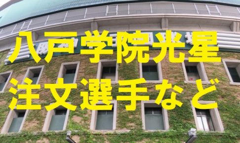 八戸学院光星の注文選手など・青森県