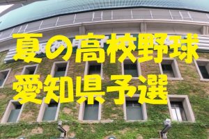 高校野球愛知県予選地方大会