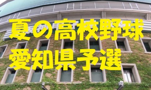 高校野球愛知県予選地方大会
