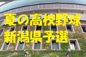 高校野球新潟県予選地方大会