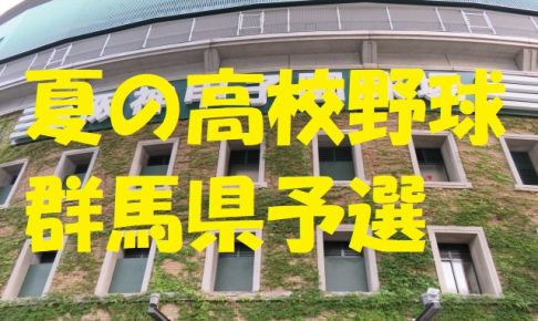 高校野球群馬県予選地方大会
