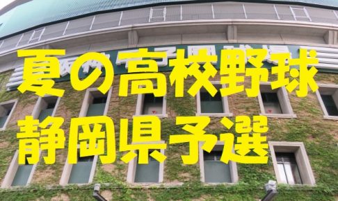 高校野球静岡県予選地方大会