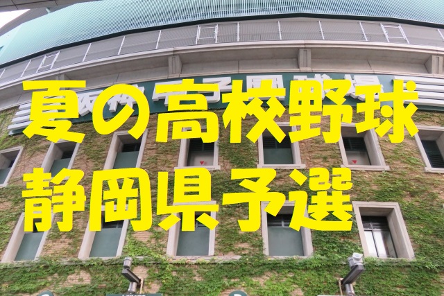 高校野球静岡県予選地方大会
