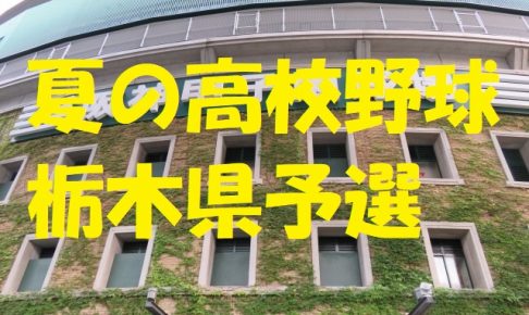 高校野球栃木県予選地方大会