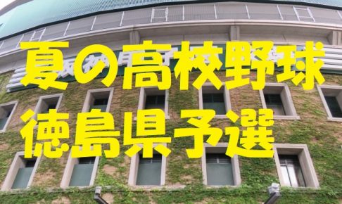 高校野球徳島県予選地方大会