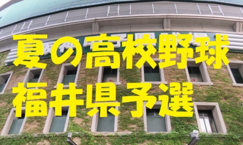 高校野球福井県予選地方大会